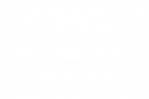 Chery logo